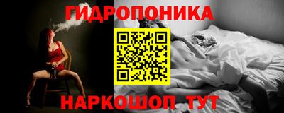 индика Донецк