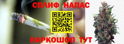 ешки Дубна