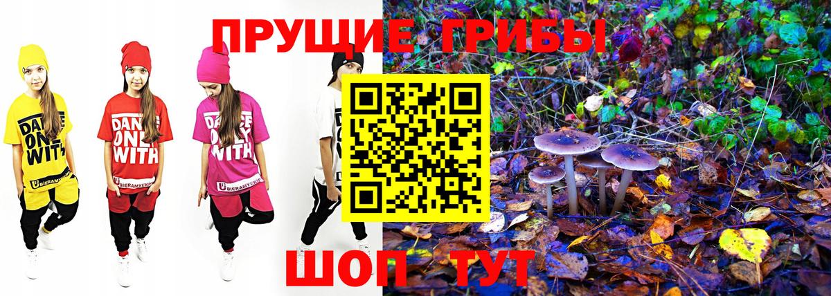Лысьва  магазин  наркотиков  Вход с VPN  Псилоцибиновые грибы Cubensis  Псилоцибиновые грибы MAGIC MUSHROOMS 